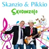 About Skodinzolo Song