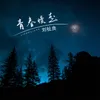 About 青春慢走 Song