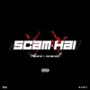 About Scam Hai Song