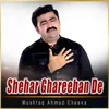 About Shehar Ghareeban De Song