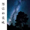 About 想你的夜晚 Song