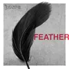 About Feather Song