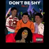 About Don't Be Shy Song