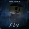 Fly