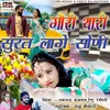 About Gori Thari Surat Lage Soni Song