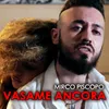 About Vasame ancora Song