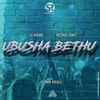 About Ubusha Bethu Song