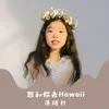 About 想和你去Hawaii Song