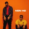 About Non Ho Song