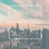 About Tiny Pretty Hawk Song