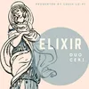 About Elixir Song