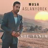 About Sol Yanım Song