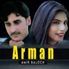 About Arman Song