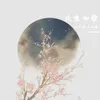 About 此生如歌 Song