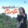 Apakah Itu Cinta