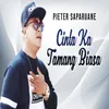 About Cinta Ka Tamang Biasa Song