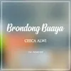 About Brondong Buaya Song