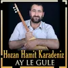 About Nıkarım Ez Song