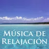 Música Relajante