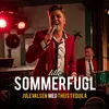 About Julevalsen Fra Lille Sommerfugl Song