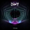 About DMT Song