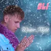 About Winter Night Song