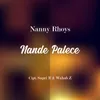 Nande Palece