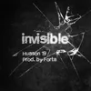 Invisible