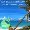 About Sea Beaches Relaxation and Anti-stress Meditation 90 minutes immersed in nature Song