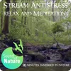 Stream Antistress Relax and Meditation 90 minutes immersed in nature