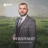 Nybzhyshit