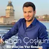 About Bir Dileğim Var Senden Song