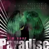 About I'm Your Paradise Song