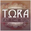 About Eat The Sun Song