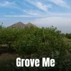 Grove Me