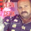 About Ezgin Gönül Song