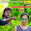 About Koto Sukhe Acho Tumi Song