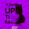 About Turn up the Bass Song