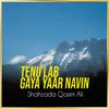 Tenu Lab Gaya Yaar Navin