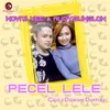 About Pecel Lele Song