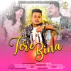 About TERE BINA Song