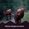 Ahora Tengo Un Amor