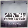 Sadi Zindagi Cigratte Wangon Hai