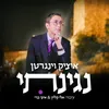 About נגינתי Song