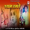 About Shyam Humare Song