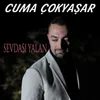 About Sevdası Yalan Song