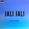 About Jali Jali Song