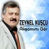 About Akşamımı Gör Song