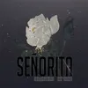 About Senorita Song