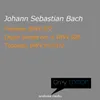 Organ Sonata No. 4 in E Minor, BWV 528 "Trio Sonata"
